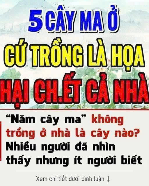 Năm cây m a không trồng ở nhà là năm loại cây nào? Ngoài đời nhiều người đã nhìn thấy nhưng ít người biết