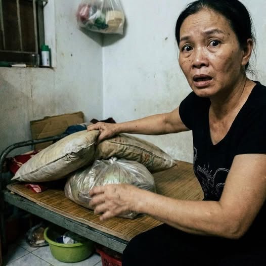 Lật gối giúp việc 70 tu.ổi lương 14 triệu: Sự thật kinhhoàng khiến chủ nhà ch//ết lặng!