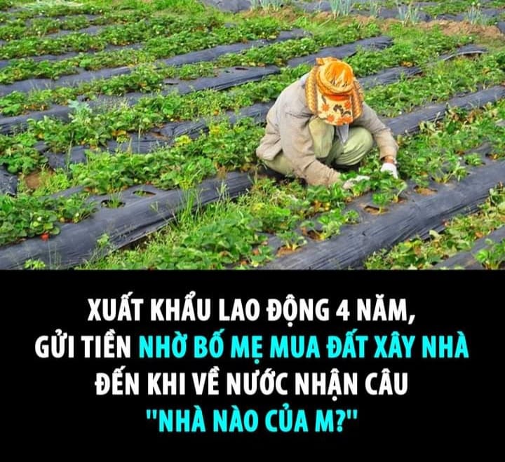Xuất khẩu lao động 4 năm, gửi tiền nhờ bố mẹ mua đất xây nhà đến khi về nước nhận câu: “Nhà nào của m?”