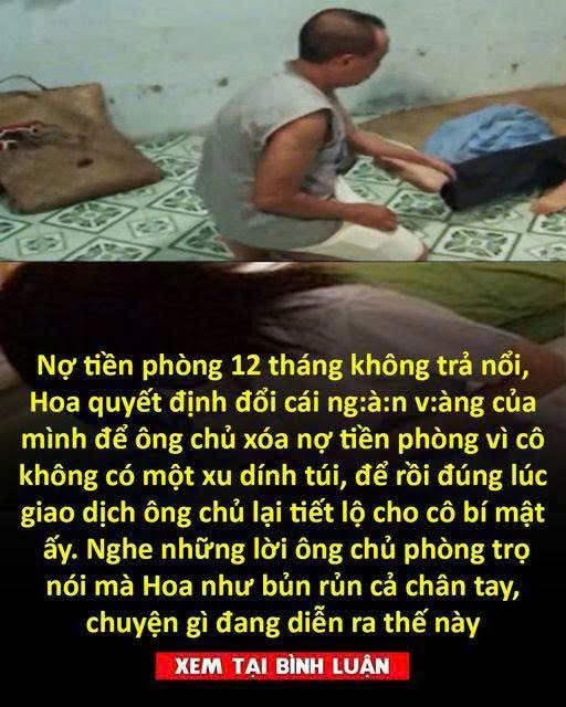 N;ợ tiền phòng 12 tháng không trả nổi, Hoa quyết định đổi cái ng:à:n v:àng của mình để ông chủ xóa n;ợ tiền phòng vì cô không có một xu dính túi, để rồi đúng lúc giao dịch ông chủ lại tiết lộ cho cô bí m;ật ấy.