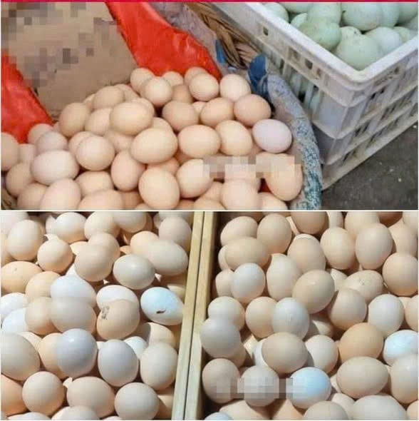 Đừng mua 4 loại trứng này nữa,, hôm nay tôi mới biết nếu ở nhà có thì không nên ăn …